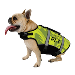 JETPILOT Dog Buoyancy Jacket
