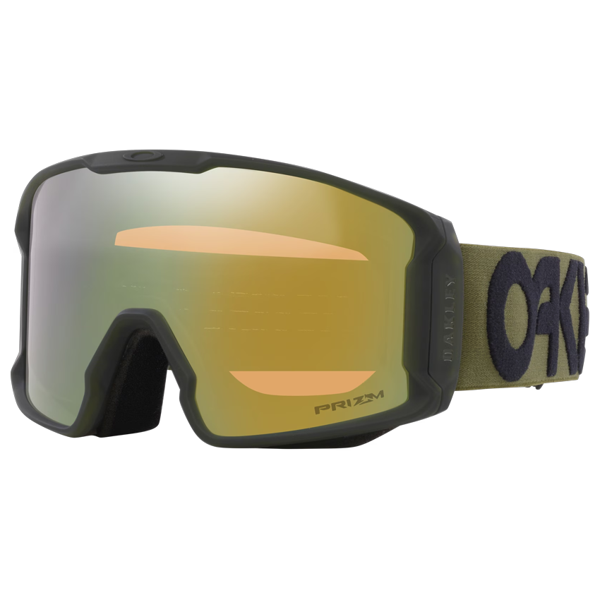 Matte B1B Dark Brush + Prizm Sage Gold