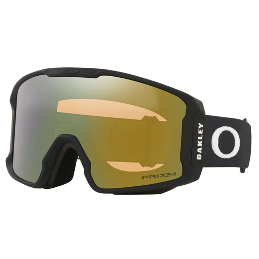 Matte B1B Dark Brush + Prizm Sage Gold